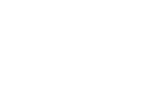 Apex Legal Support Logo white